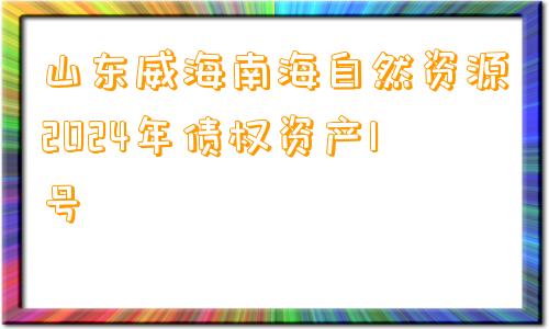 山东威海南海自然资源2024年债权资产1号