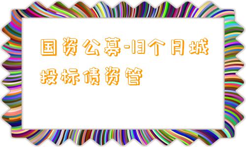 国资公募-13个月城投标债资管