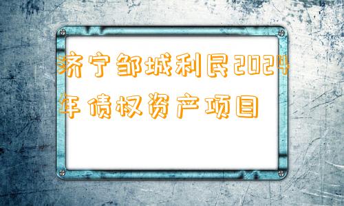 济宁邹城利民2024年债权资产项目