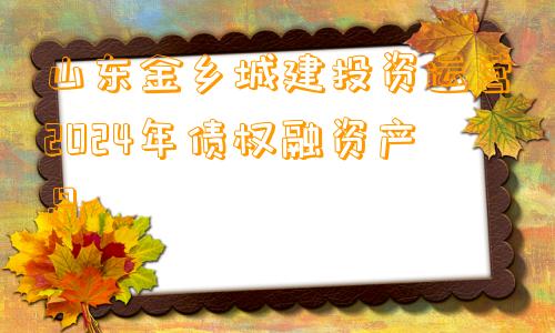 山东金乡城建投资运营2024年债权融资产品