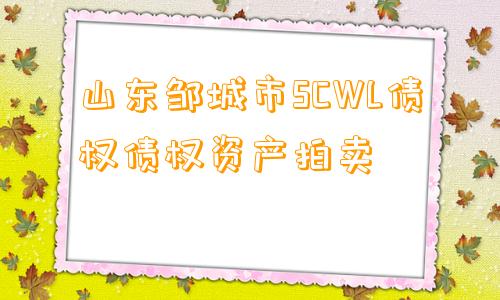 山东邹城市SCWL债权债权资产拍卖