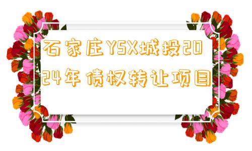 石家庄YSX城投2024年债权转让项目