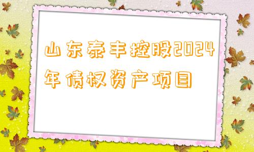 山东泰丰控股2024年债权资产项目