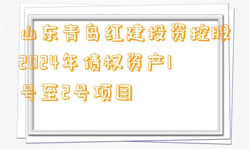 山东青岛红建投资控股2024年债权资产1号至2号项目