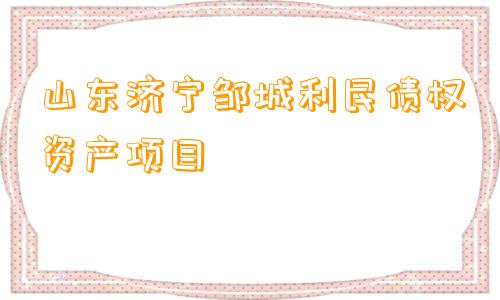 山东济宁邹城利民债权资产项目