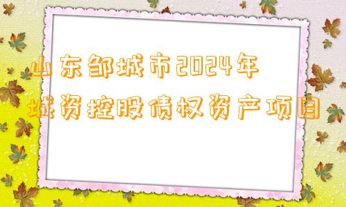 山东邹城市2024年城资控股债权资产项目