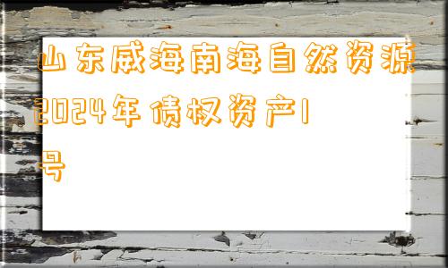 山东威海南海自然资源2024年债权资产1号