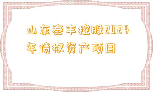 山东泰丰控股2024年债权资产项目