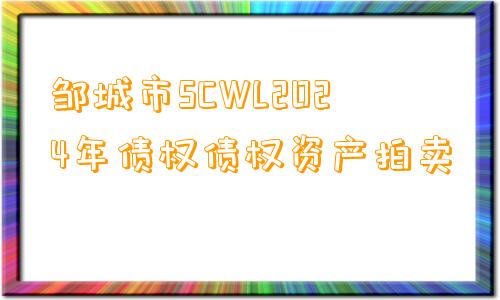 邹城市SCWL2024年债权债权资产拍卖