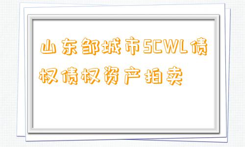 山东邹城市SCWL债权债权资产拍卖