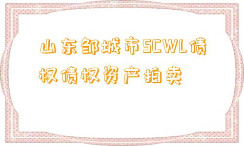 山东邹城市SCWL债权债权资产拍卖