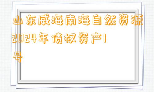 山东威海南海自然资源2024年债权资产1号