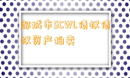 邹城市SCWL债权债权资产拍卖