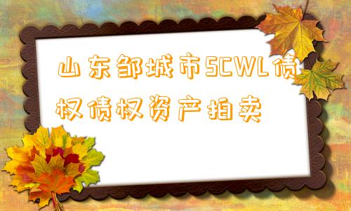 山东邹城市SCWL债权债权资产拍卖