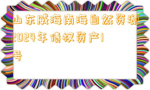 山东威海南海自然资源2024年债权资产1号