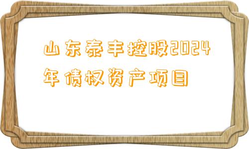 山东泰丰控股2024年债权资产项目