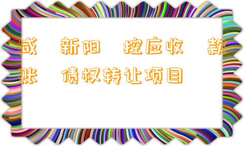 咸‮新阳‬控应收‮款账‬债权转让项目