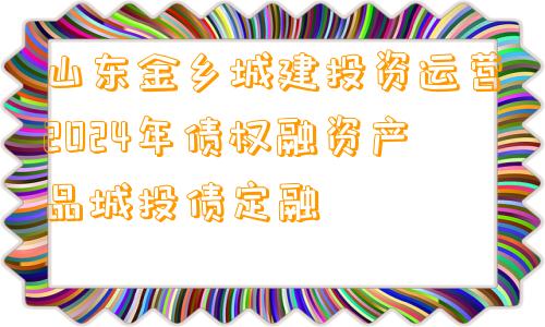 山东金乡城建投资运营2024年债权融资产品城投债定融