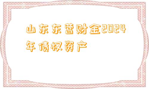 山东东营财金2024年债权资产