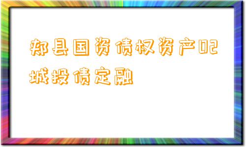 郏县国资债权资产02城投债定融