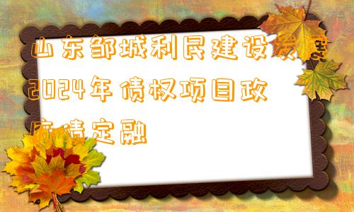 山东邹城利民建设发展2024年债权项目政府债定融