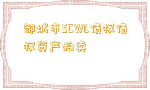 邹城市SCWL债权债权资产拍卖