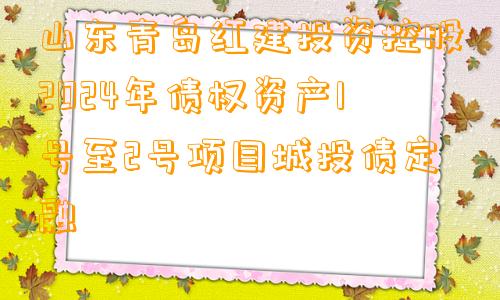 山东青岛红建投资控股2024年债权资产1号至2号项目城投债定融