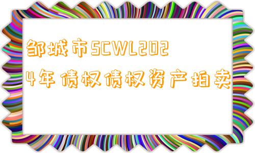 邹城市SCWL2024年债权债权资产拍卖