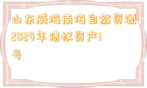 山东威海南海自然资源2024年债权资产1号