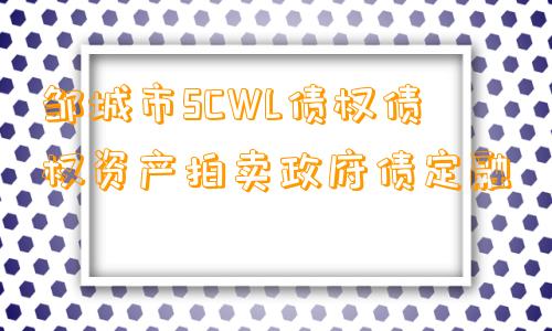 邹城市SCWL债权债权资产拍卖政府债定融