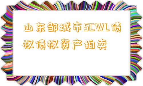 山东邹城市SCWL债权债权资产拍卖