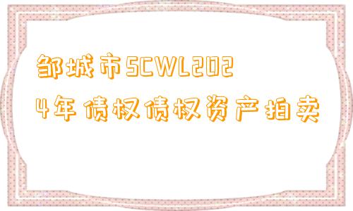 邹城市SCWL2024年债权债权资产拍卖