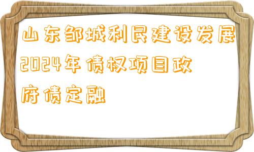 山东邹城利民建设发展2024年债权项目政府债定融