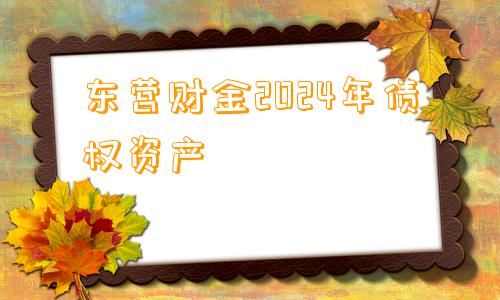 东营财金2024年债权资产