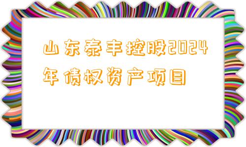 山东泰丰控股2024年债权资产项目