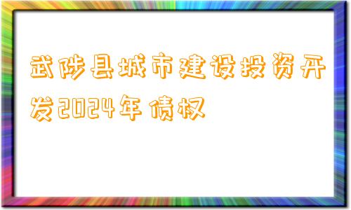 武陟县城市建设投资开发2024年债权