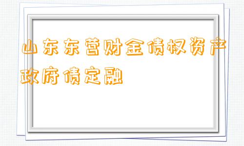 山东东营财金债权资产政府债定融