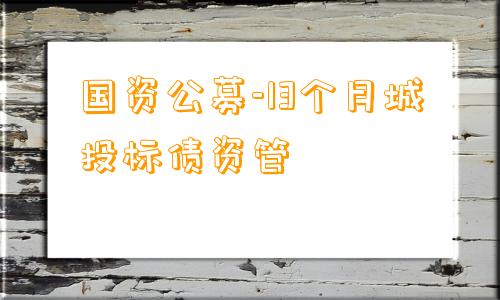 国资公募-13个月城投标债资管