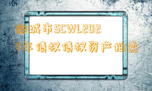 邹城市SCWL2024年债权债权资产拍卖