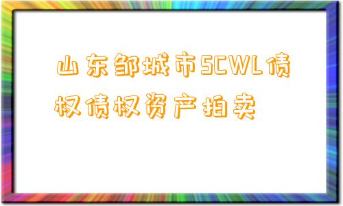 山东邹城市SCWL债权债权资产拍卖