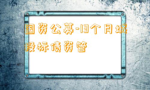 国资公募-13个月城投标债资管