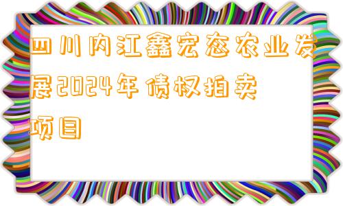 四川内江鑫宏态农业发展2024年债权拍卖项目