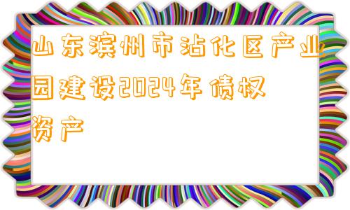 山东滨州市沾化区产业园建设2024年债权资产