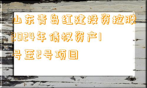 山东青岛红建投资控股2024年债权资产1号至2号项目