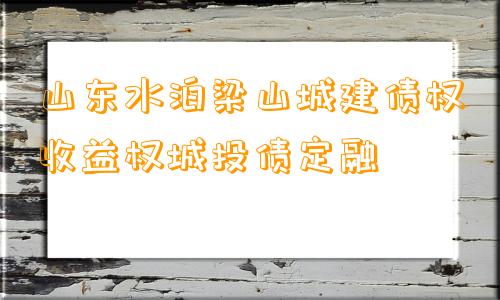 山东水泊梁山城建债权收益权城投债定融