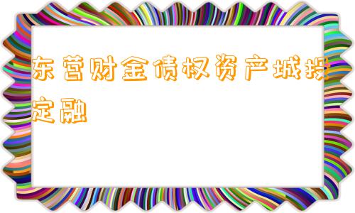 东营财金债权资产城投定融