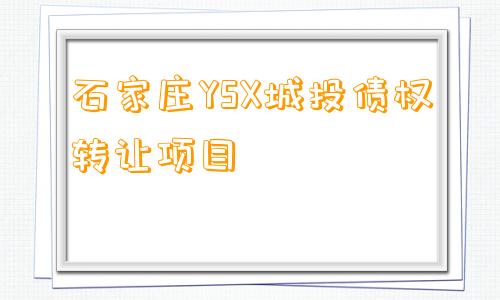 石家庄YSX城投债权转让项目