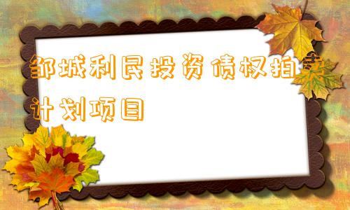 邹城利民投资债权拍卖计划项目