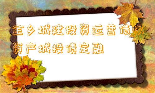 金乡城建投资运营债权资产城投债定融