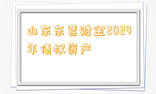 山东东营财金2024年债权资产